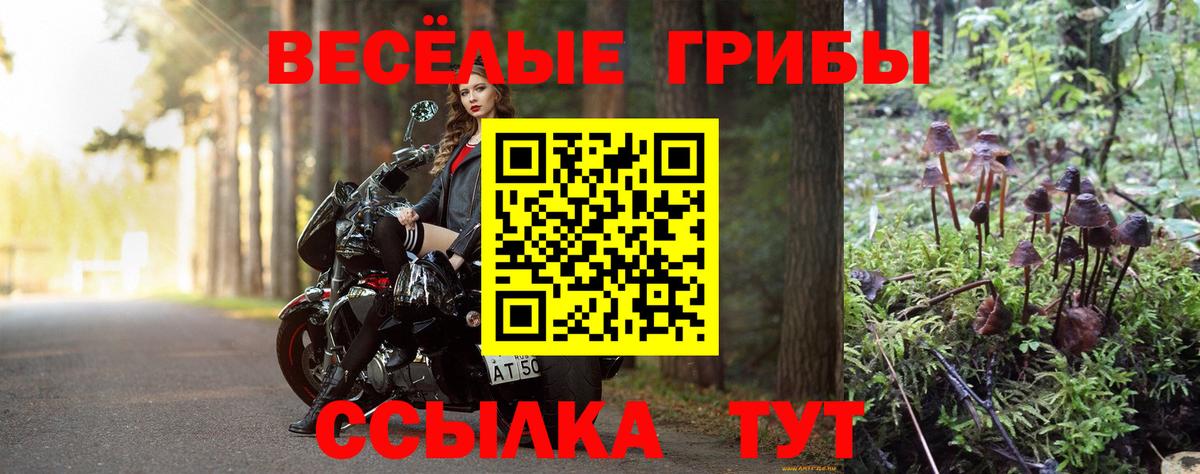 Псилоцибиновые грибы Psilocybine cubensis  Вход с VPN  Алейск 