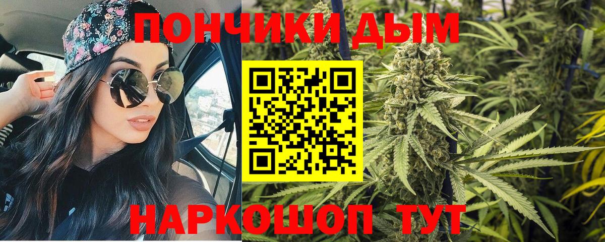 Алейск  Каннабис план  Вход с VPN  Канабис гибрид  Бошки марихуана OG Kush 